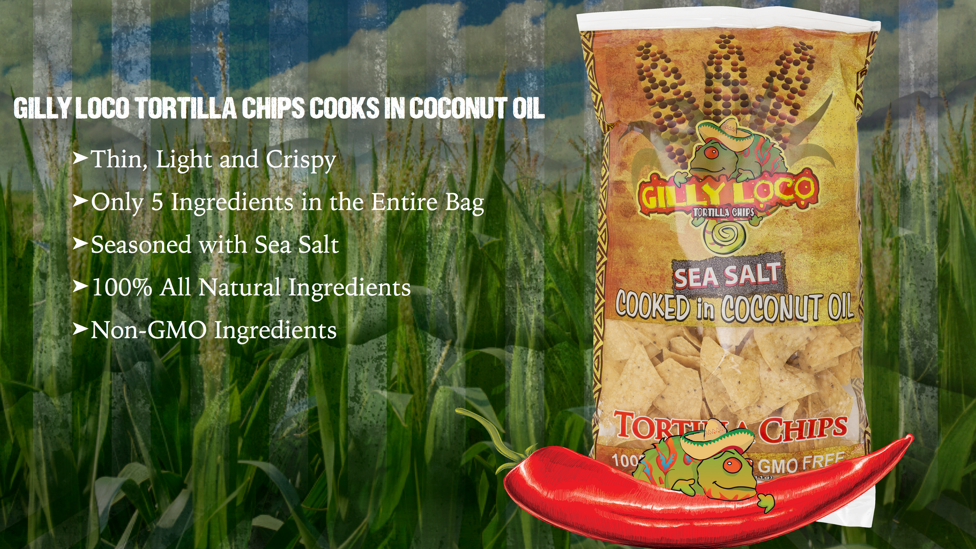 TORTILLA CHIPS COOKED IN COCONUT OIL